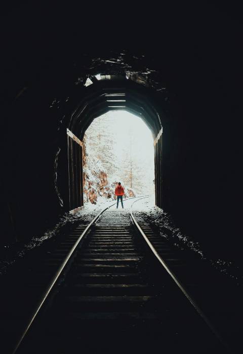 pexels-aleksey-kuprikov-1883853-3551210.jpg